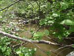 Culvert Crossing, Harrington, Maine