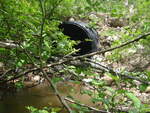 Culvert Crossing, Harrington, Maine