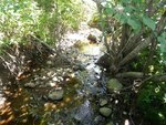 Culvert Crossing, Steuben, Maine