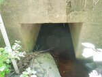 Culvert Crossing, Steuben, Maine