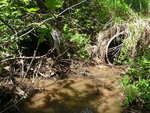 Multiple Culvert Crossing, Columbia, Maine