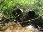 Multiple Culvert Crossing, Columbia, Maine