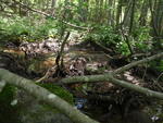 Multiple Culvert Crossing, Columbia, Maine