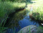 Culvert Crossing, Harrington, Maine