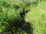 Culvert Crossing, Harrington, Maine