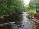 Culvert Crossing, Great Marsh Stream, Columbia, Maine