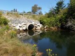 Culvert Crossing, Gouldsboro, Maine