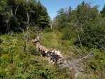 Culvert Crossing, Gouldsboro, Maine