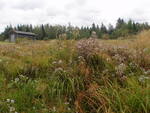 Culvert Crossing, Columbia Falls, Maine