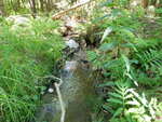 Culvert Crossing, Ellsworth, Maine