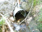 Culvert Crossing, Ellsworth, Maine