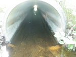 Culvert Crossing, Mann Brook, Dedham, Maine