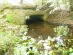 Culvert Crossing, Mann Brook, Dedham, Maine