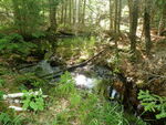 Culvert Crossing, Mann Brook, Dedham, Maine
