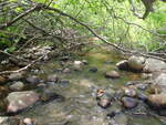 Culvert Crossing, Columbia, Maine