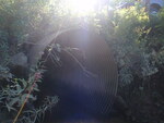 Culvert Crossing, Cherryfield, Maine
