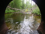 Multiple Culvert Crossing, Branch Lake Stream, Ellsworth, Maine