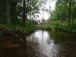 Multiple Culvert Crossing, Branch Lake Stream, Ellsworth, Maine