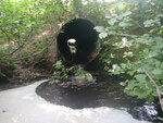 Culvert Crossing, Hancock, Maine