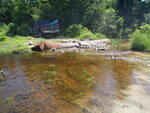 Culvert Crossing, Harrington, Maine