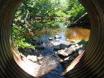 Culvert Crossing, Harrington, Maine