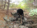 Culvert Crossing, Mother Bush Brook, Blue Hill, Maine