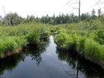 Multiple Culvert Crossing, Devereaux Twp, Maine