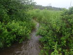 Multiple Culvert Crossing, Ellsworth, Maine