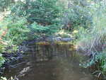 Multiple Culvert Crossing, Harrington, Maine