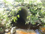 Multiple Culvert Crossing, Harrington, Maine