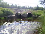 Multiple Culvert Crossing, Gilpatrick Brook, Ellsworth, Maine