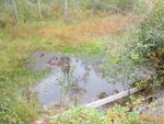 Multiple Culvert Crossing, Brooklin, Maine