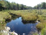 Culvert Crossing, Roaring Brook, Gouldsboro, Maine