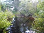 Culvert Crossing, Steuben, Maine
