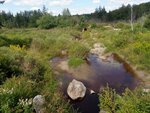 Culvert Crossing, Steuben, Maine