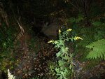 Culvert Crossing, Eaton Brook, Brooklin, Maine
