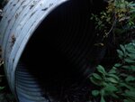 Culvert Crossing, Eaton Brook, Brooklin, Maine