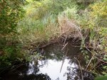 Culvert Crossing, Brooksville, Maine