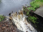 Culvert Crossing, Loids Brook, Trenton, Maine