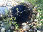 Culvert Crossing, Harrington, Maine