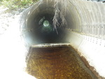 Multiple Culvert Crossing, Halfmile Brook, Amherst, Maine
