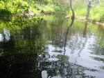 Culvert Crossing, Fosters Brook, Trenton, Maine