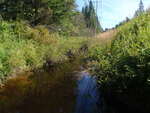 Culvert Crossing, Columbia, Maine