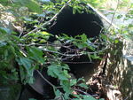 Culvert Crossing, Harrington, Maine