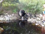 Culvert Crossing, Steuben, Maine