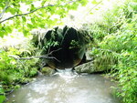 Culvert Crossing, Mariaville, Maine