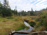 Culvert Crossing, Addison, Maine