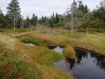 Culvert Crossing, Addison, Maine