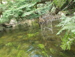 Multiple Culvert Crossing, Otis, Maine