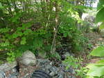 Culvert Crossing, Ellsworth, Maine